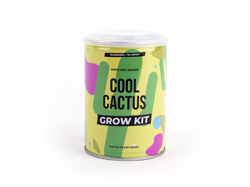 Cool Cactus Konservväxt