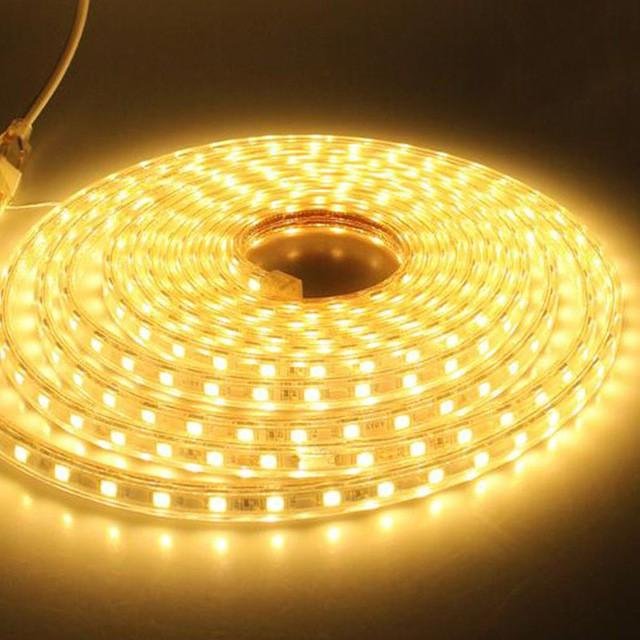 Vattentät SMD 5050 AC220V LED Strip Flexibelt ljus 60leds/m LED Tape LED-lampor Belysning Vardagsrumsdekorlampa 10M