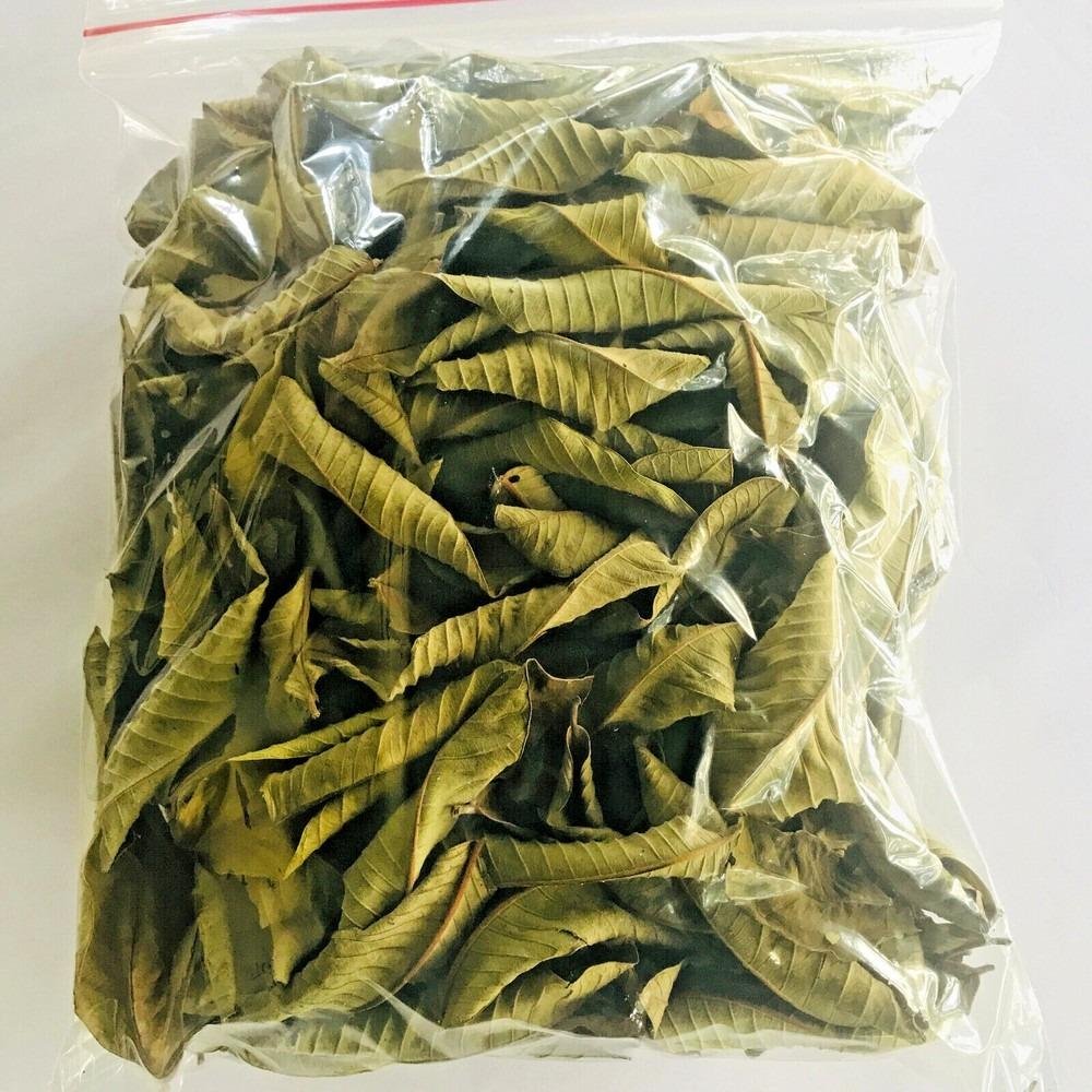 Guavablad 500g Örtte, Naturlig Detoxdryck för Energi och Välbefinnande 100g