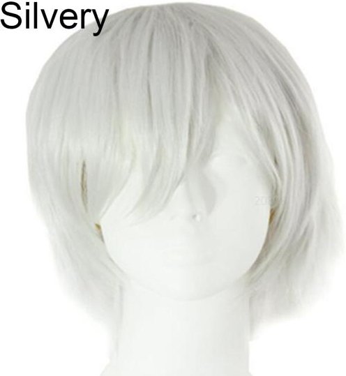 Orion Män Kvinnor Flerfärgad Kort rakt hårstrå Full Peruk för Anime Party Cosplay One Size gray